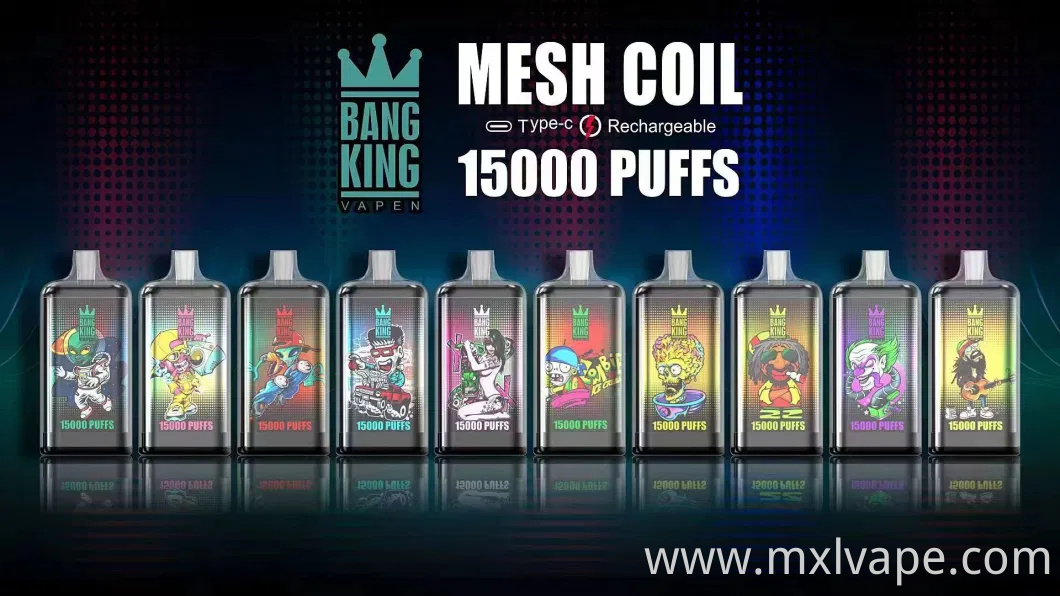 Disposable Vape Rechargebale Battery Vape Pen Disposable Vape Box Bang King 15000 Puffs